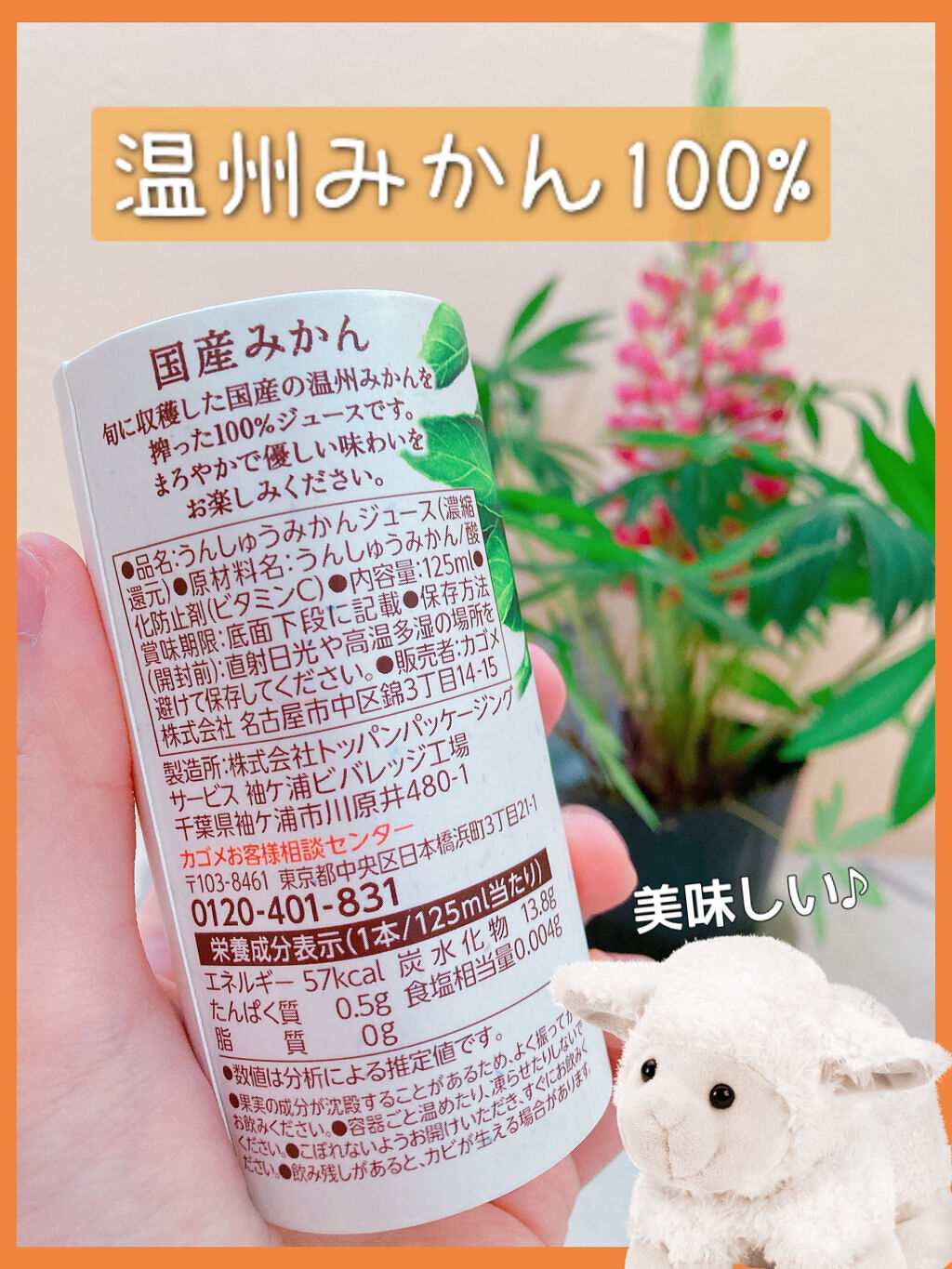 国産みかん/カゴメ/ドリンクを使ったクチコミ（2枚目）