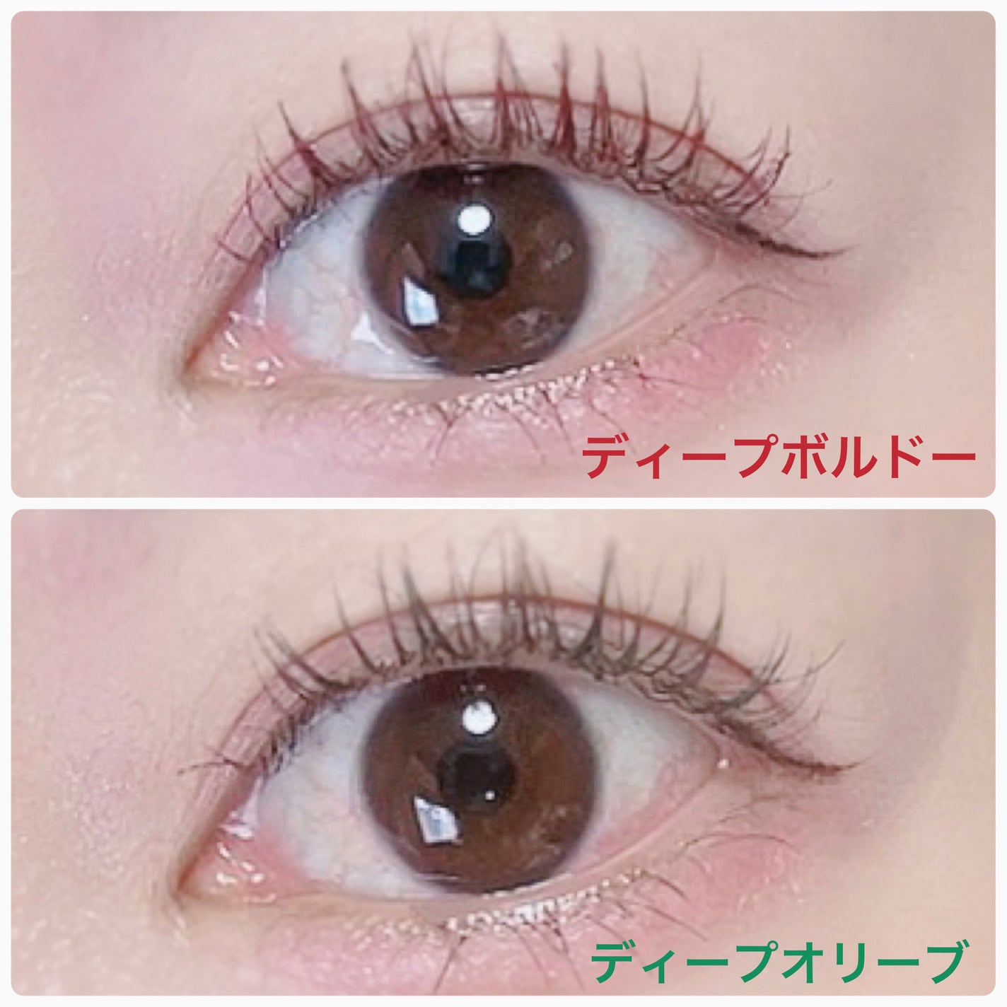 ビューティーアップマスカラ/PHOEBE BEAUTY UP/マスカラを使ったクチコミ(4枚目)