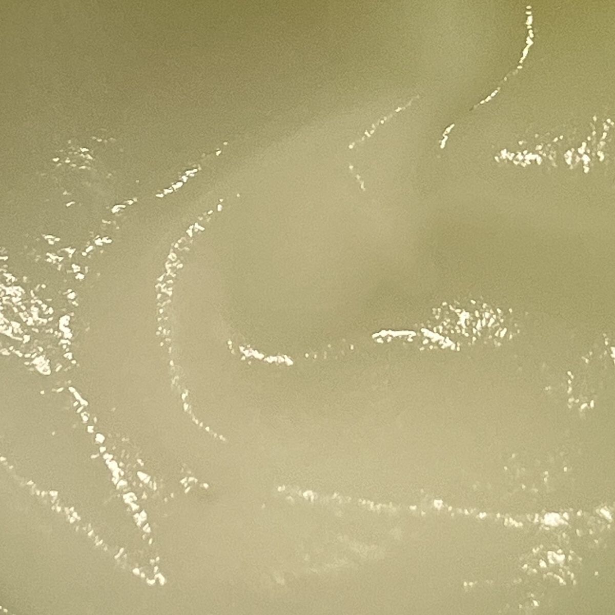 白玉もちウォータークリーム/NUAN/フェイスクリームを使ったクチコミ（2枚目）