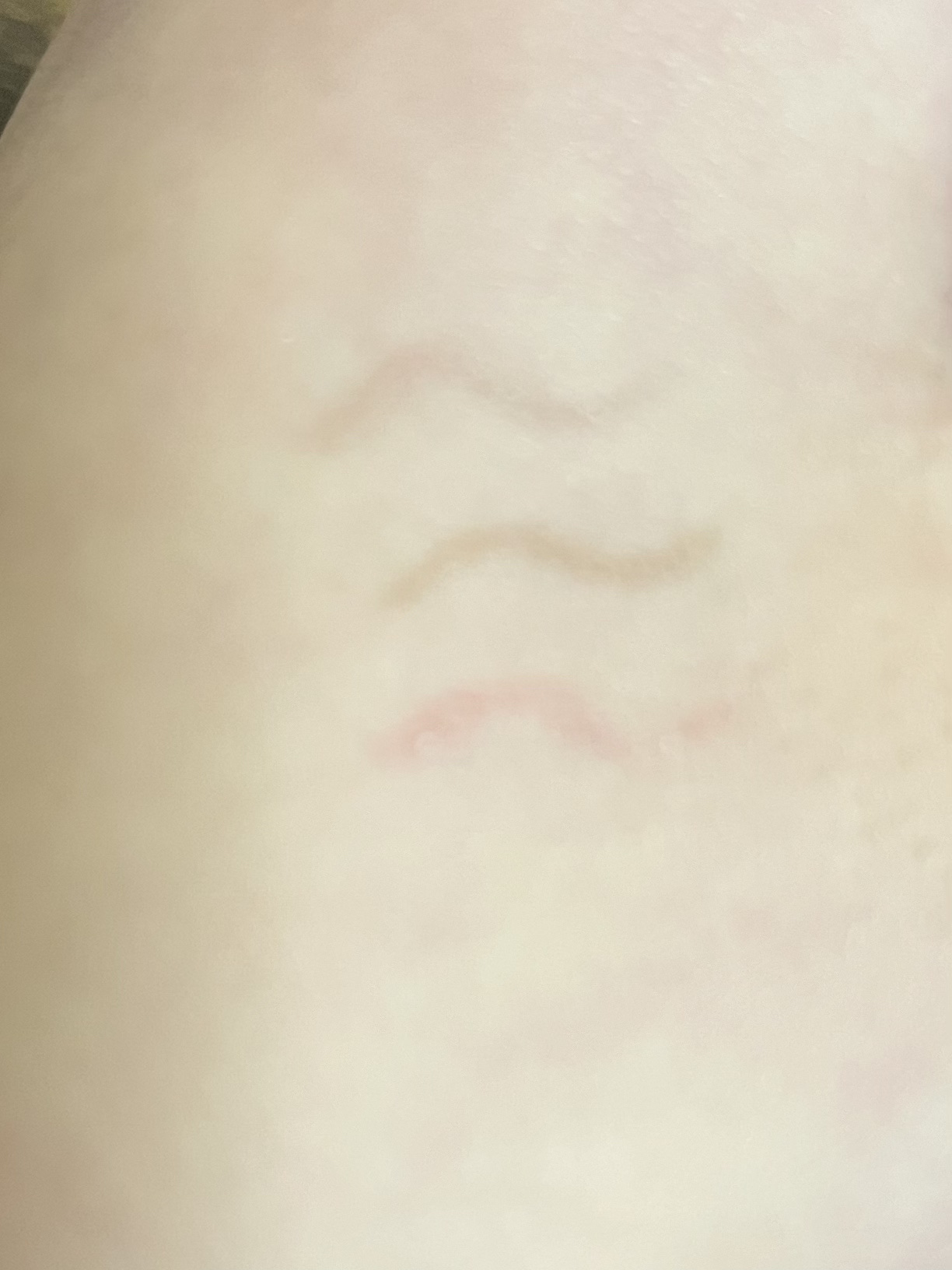 3wayスリムアイルージュライナー/キャンメイク/リキッドアイライナーを使ったクチコミ（2枚目）