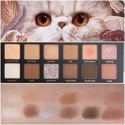 エクスプローラ12色 動物アイシャドウパレット/PERFECT DIARY/アイシャドウパレットを使ったクチコミ(9枚目)