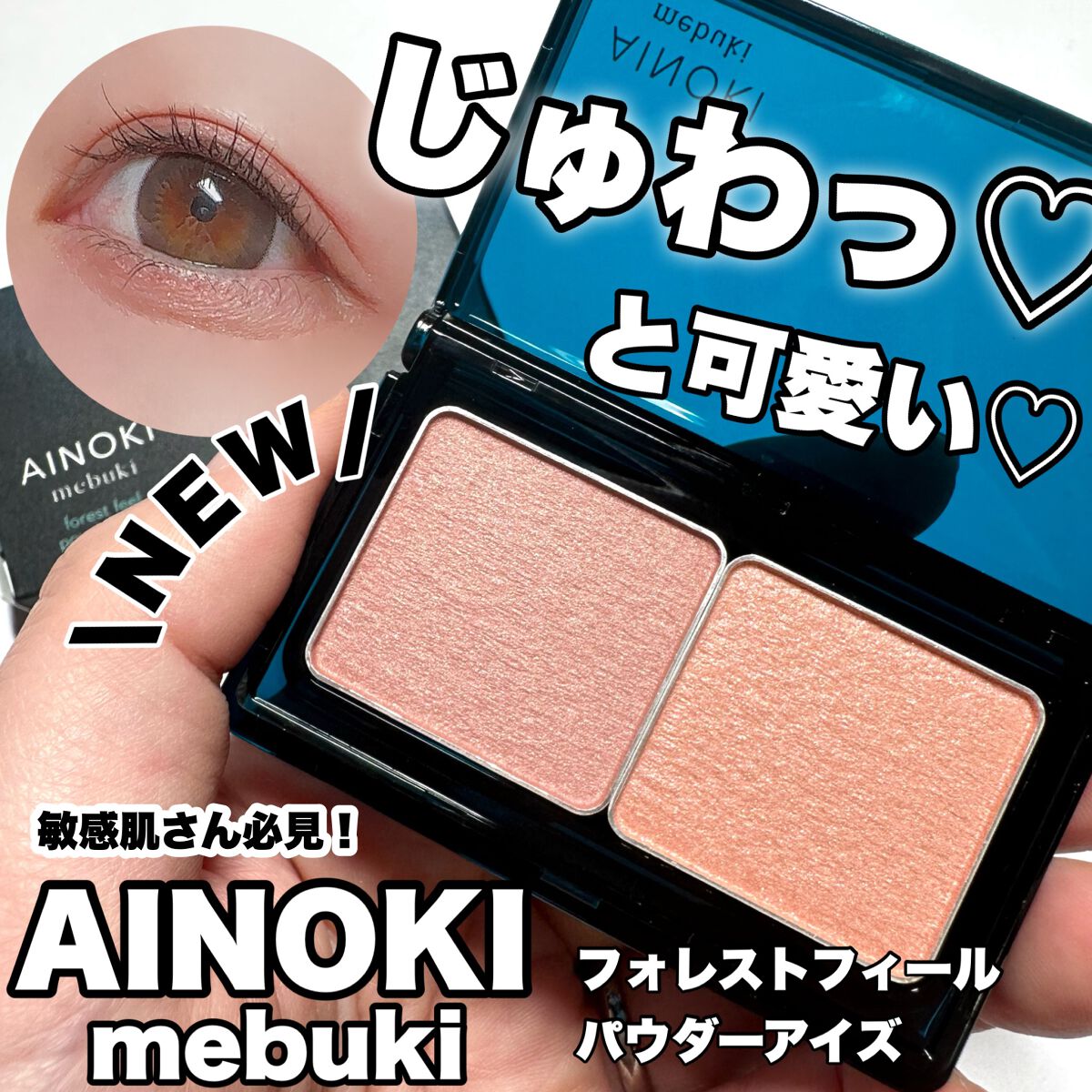 フォレスト フィール パウダー アイズ/AINOKI mebuki/アイシャドウパレットを使ったクチコミ(1枚目)
