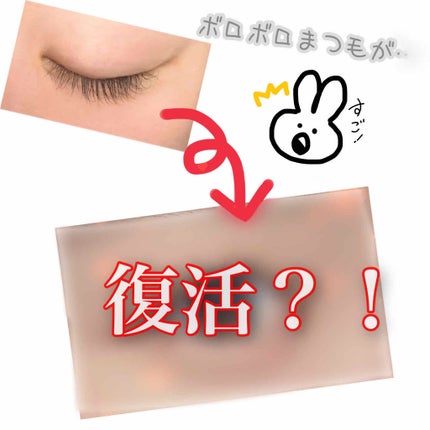 エグータム/アルマダスタイル/まつげ美容液を使ったクチコミ(1枚目)