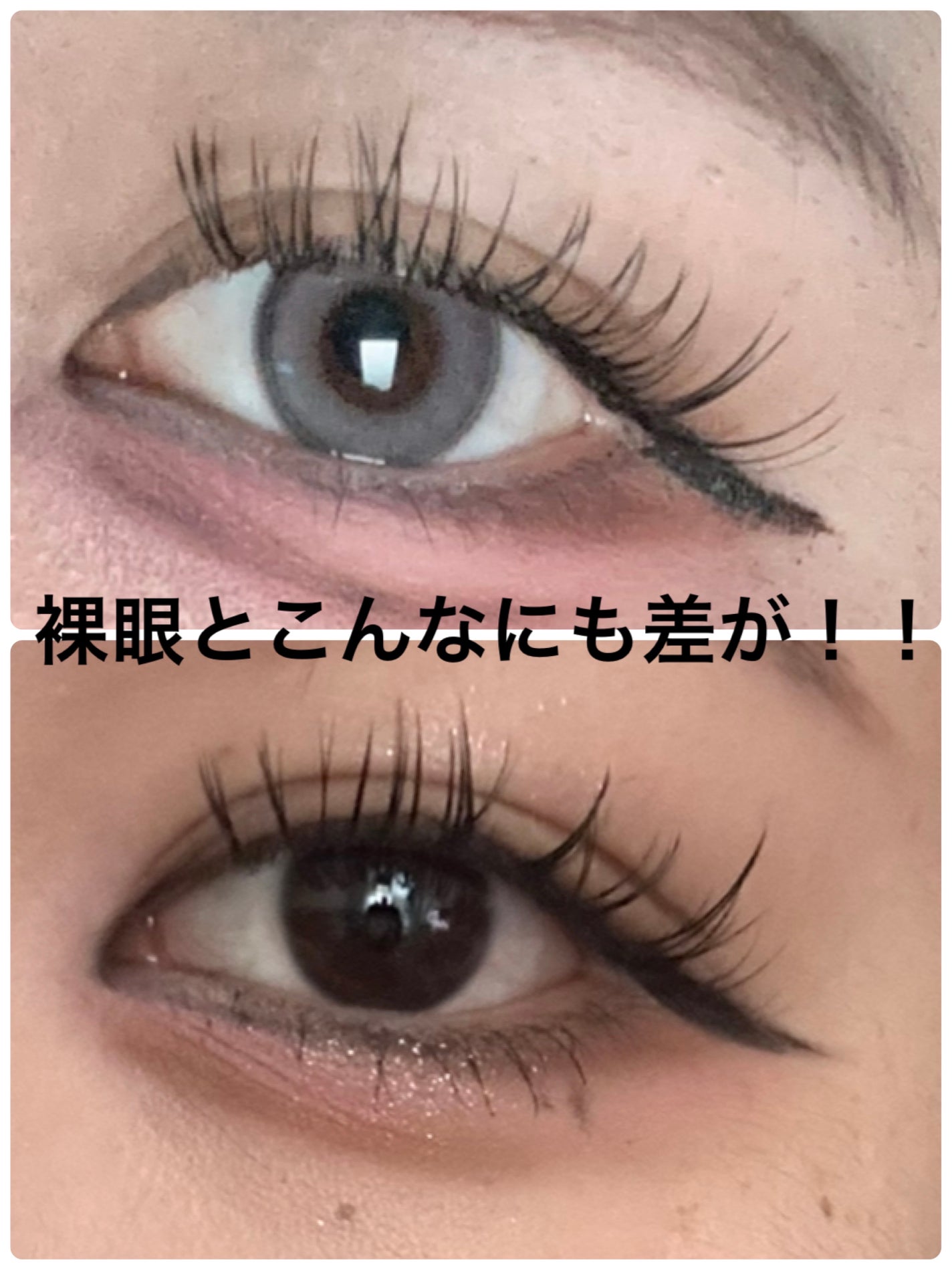 Angelcolor Bambi Series 1day /AngelColor/ワンデー(1DAY)カラコンを使ったクチコミ(2枚目)