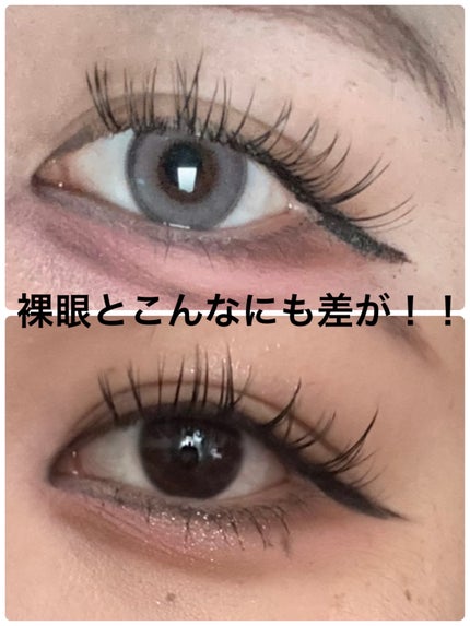 Angelcolor Bambi Series 1day /AngelColor/ワンデー(1DAY)カラコンを使ったクチコミ(2枚目)