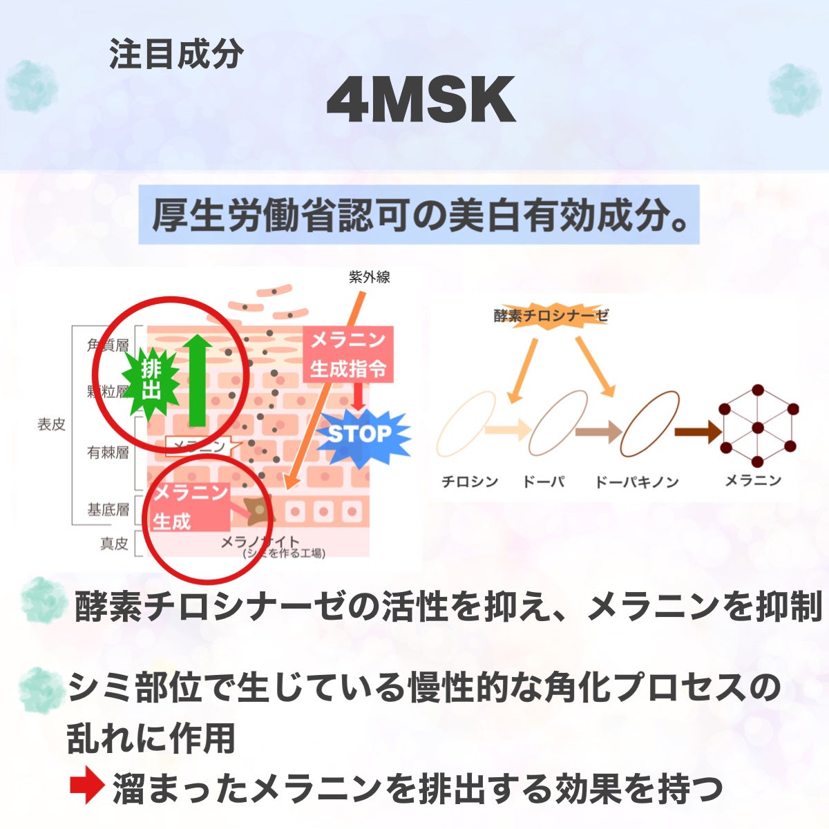 ブライトニング ローション WT Ⅱ/エリクシール/化粧水を使ったクチコミ(4枚目)