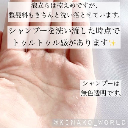 バランスエフェクトシャンプー/トリートメント/スリーク by サラサロン/市販シャンプーを使ったクチコミ(5枚目)