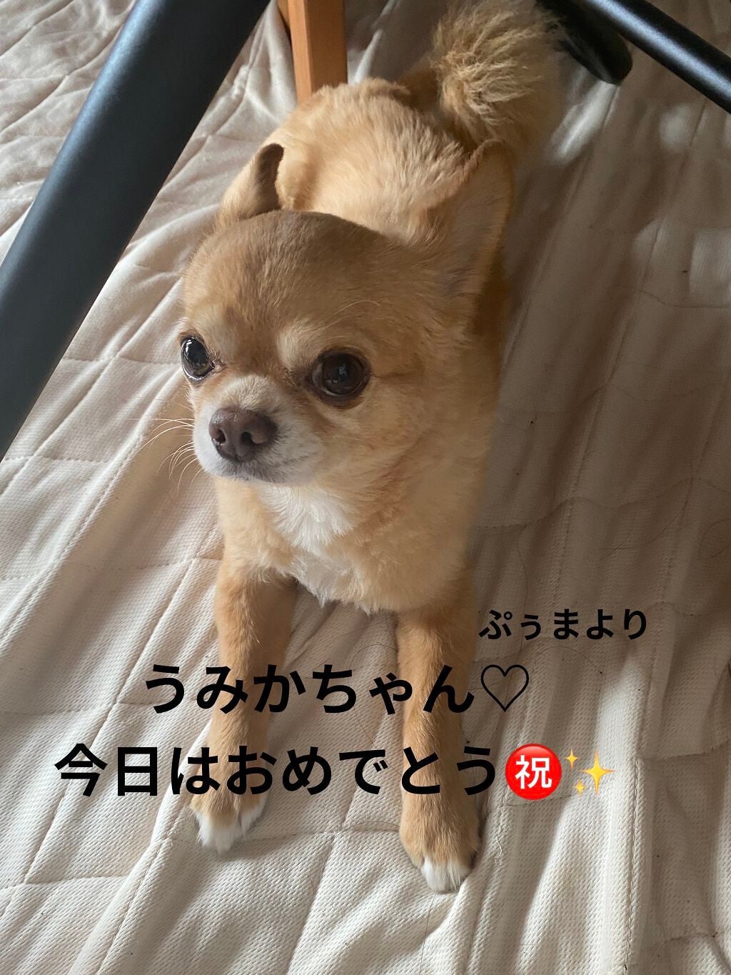 サクラヴェールリップ/パラドゥ/リップクリームを使ったクチコミ(9枚目)