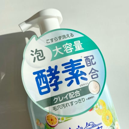 世界の果実 すっきり泡洗顔/世界の果実/泡洗顔を使ったクチコミ(2枚目)