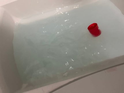 N organic HOME バスミルク/N organic/保湿系入浴剤を使ったクチコミ(5枚目)