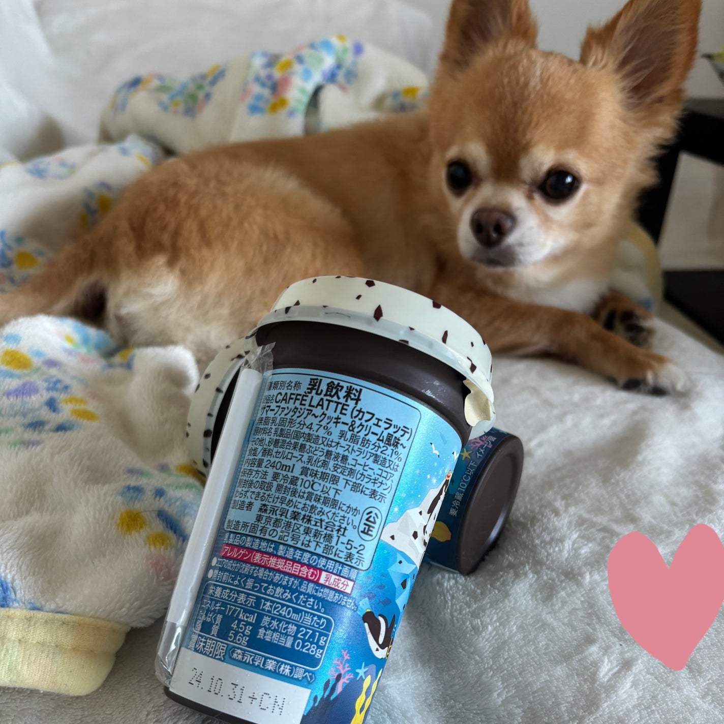 ぷぅぴぃ《紫コス部💜💗》 on LIPS 「またまた#あやかちゃん買い🩷マウントレーニア🗻カフェラッテ⛰サ..」(2枚目)