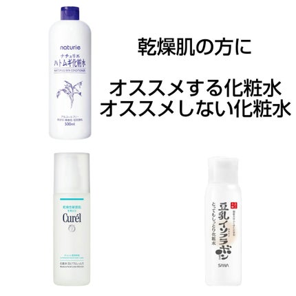 ハトムギ化粧水(ナチュリエ スキンコンディショナー R )/ナチュリエ/化粧水を使ったクチコミ(1枚目)