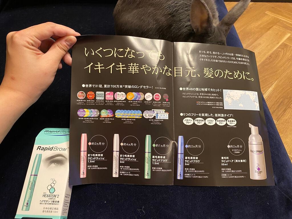 ラピッドブロウ(R) 日本仕様正規品(眉毛美容液)/ベリタス/美容液を使ったクチコミ(2枚目)