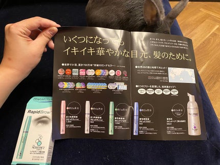 ラピッドブロウ(R) 日本仕様正規品(眉毛美容液)/ベリタス/美容液を使ったクチコミ(2枚目)