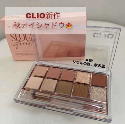 プロ アイ パレット/CLIO/アイシャドウパレットを使ったクチコミ(1枚目)