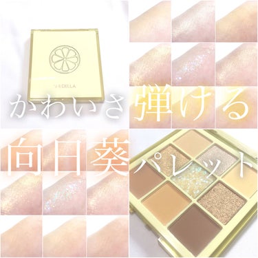  诗蒂娅九色眼影盘 (9 Colors Eye Shadow Palette)/SHEDELLA/パウダーアイシャドウを使ったクチコミ（1枚目）