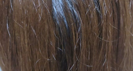 デビルズトリック/クイスクイス/ヘアカラーを使ったクチコミ(2枚目)