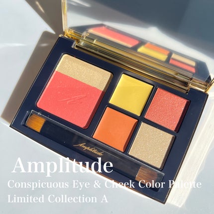 コンスピキュアス アイ&チークカラーパレット リミテッドコレクション a/Amplitude/アイシャドウパレットを使ったクチコミ(3枚目)