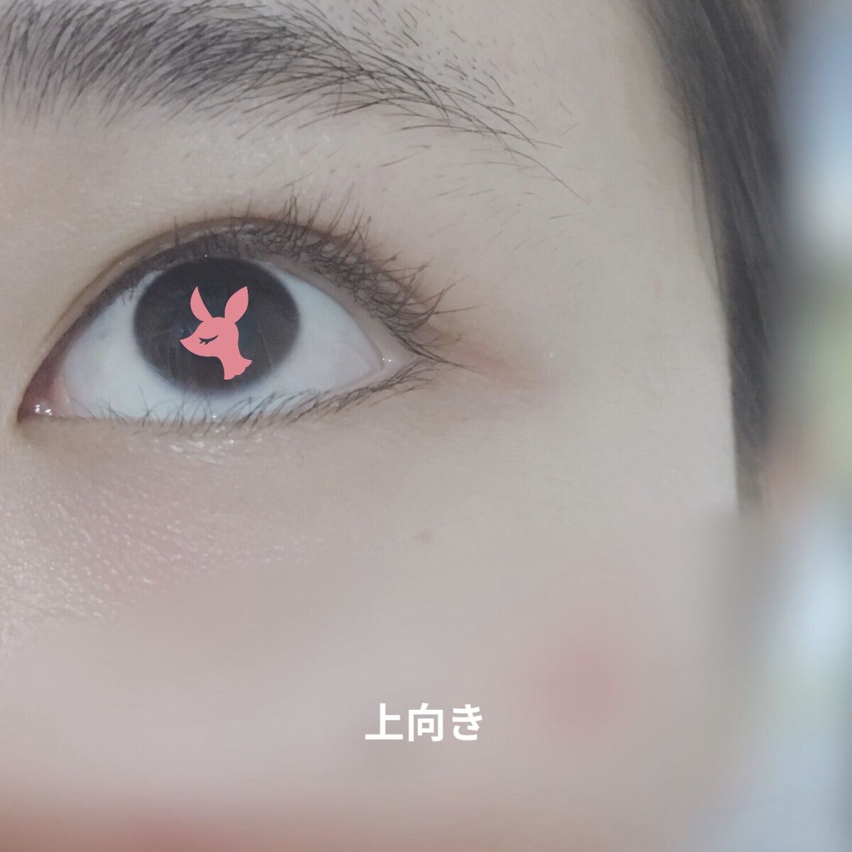 耐久カールマスカラ/CEZANNE/マスカラを使ったクチコミ（3枚目）