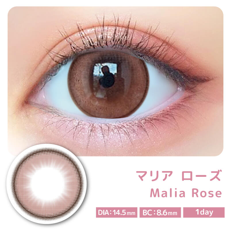 Majette 1day マリアローズ