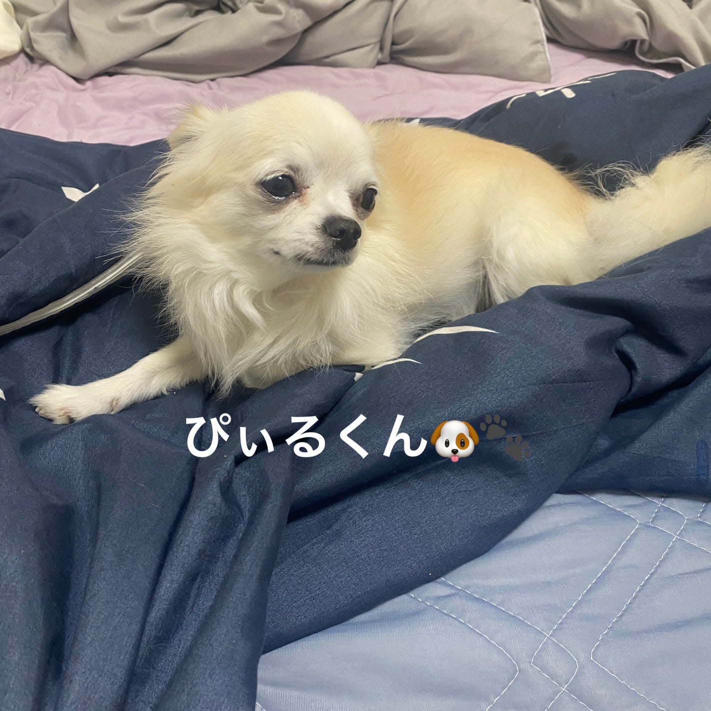 ピュアクレンジング クリア/SINN PURETÉ/クレンジングジェルを使ったクチコミ(5枚目)