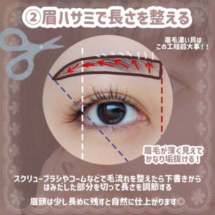 ノーズ&アイブロウパウダー/CEZANNE/パウダーアイブロウを使ったクチコミ(5枚目)