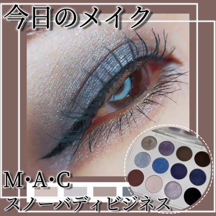 アイシャドウ パレット × 12: スノーバディ ビジネス/M・A・C/アイシャドウパレットを使ったクチコミ(1枚目)