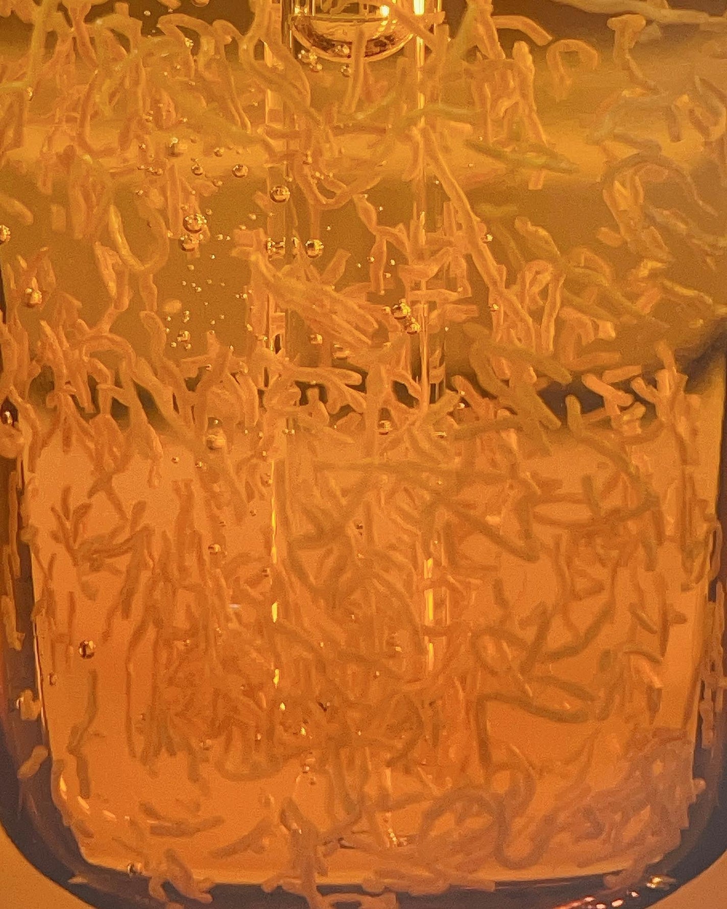 ホワイト ゼリー マッシュルーム エラトックス マスク/BYLIMU/シートマスク・パックを使ったクチコミ(2枚目)