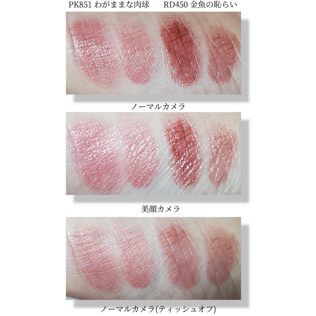 ネンマクフェイク ルージュ/Visée/口紅を使ったクチコミ(3枚目)