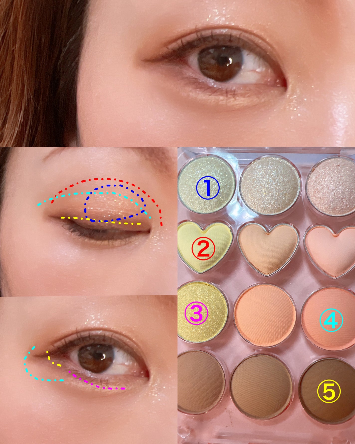 目元チュートリアルアイパレット/Colorgram/アイシャドウパレットを使ったクチコミ(3枚目)