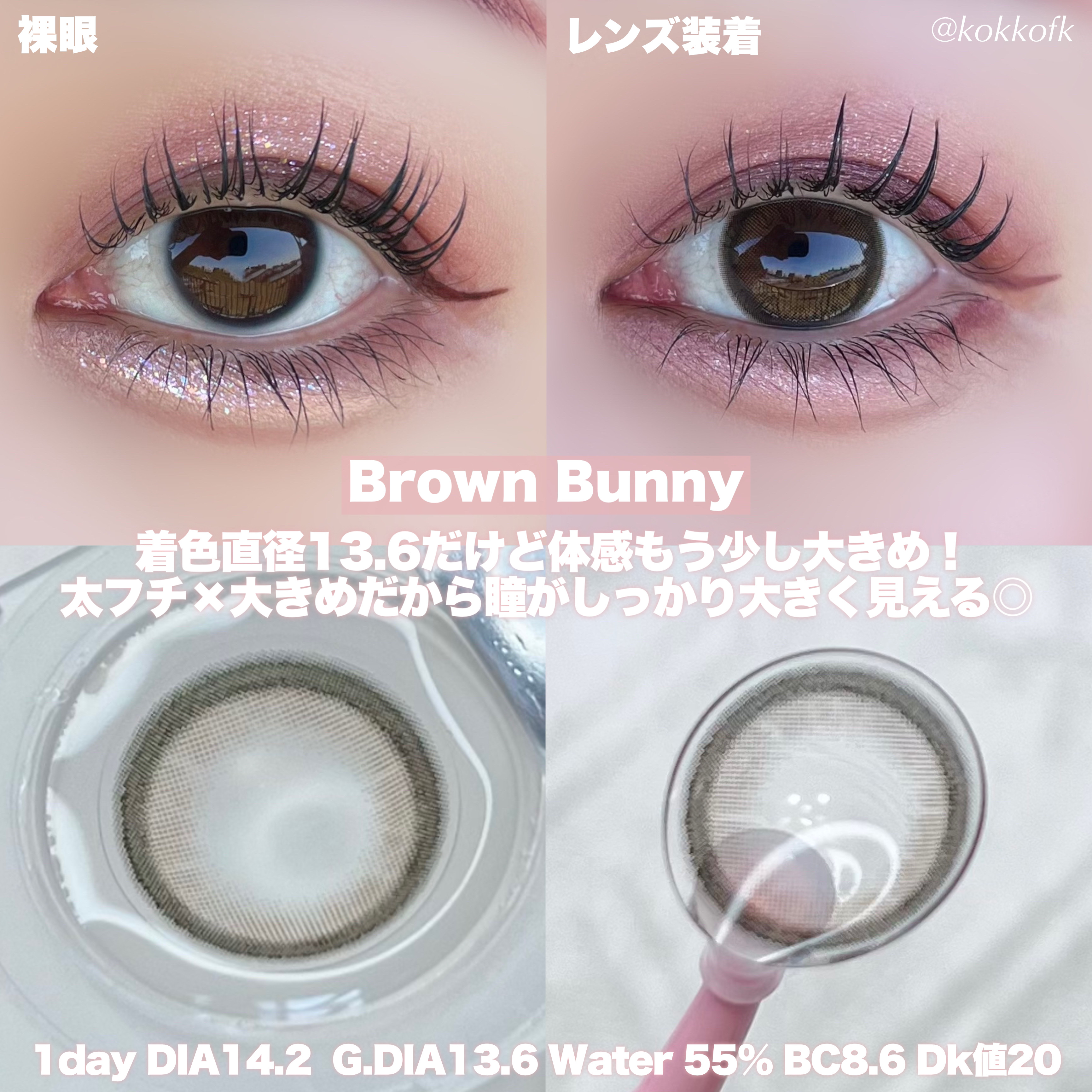 MOLAK 1day | ブラウンバニー MOLAK | LIPS SHOPPING