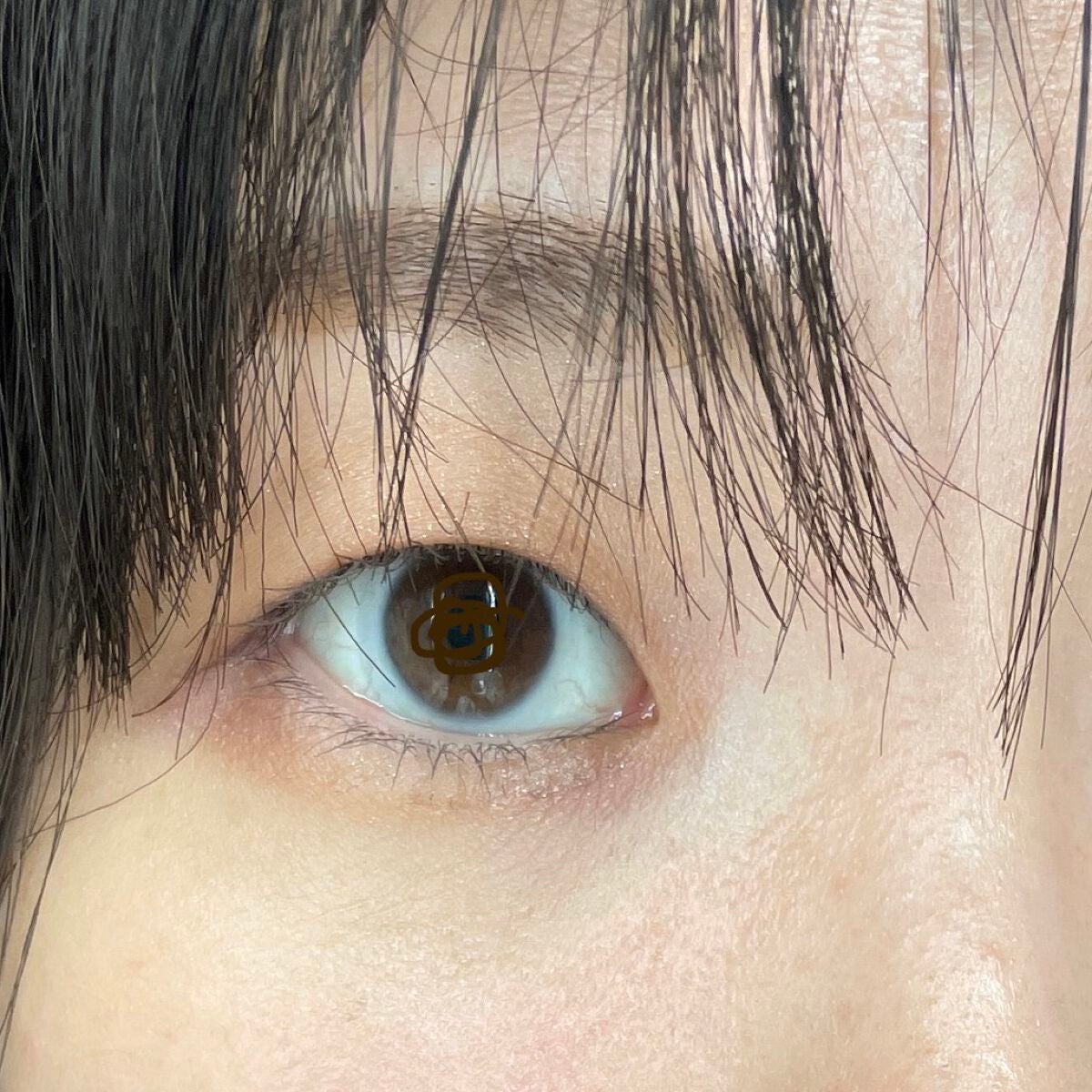 アイリシェイパー/IPSA/ジェル・クリームアイシャドウを使ったクチコミ(3枚目)