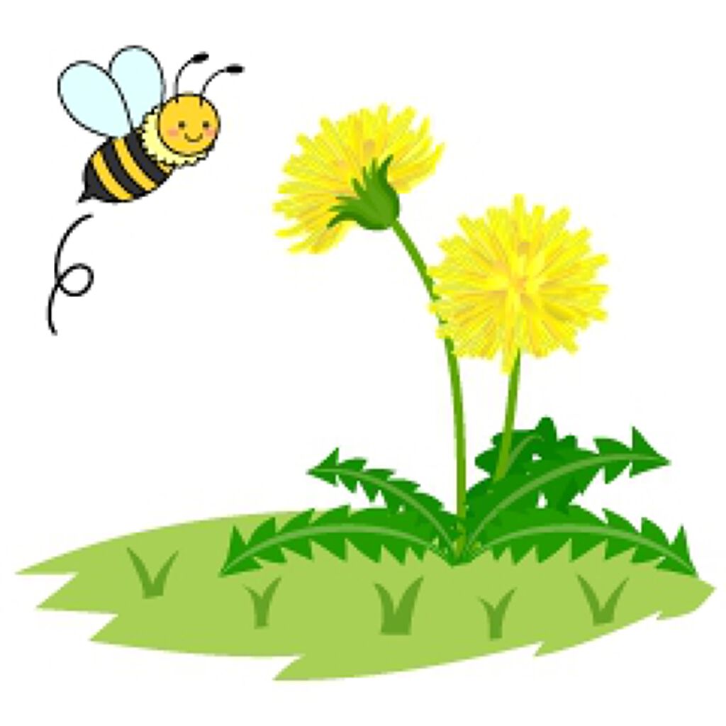 ãªã¥ã¯ã¹ ãªãã ã«ã©ãŒ/BOBBI BROWN/å£çŽ
ã䜿ã£ãã¯ãã³ãïŒ1æç®ïŒ