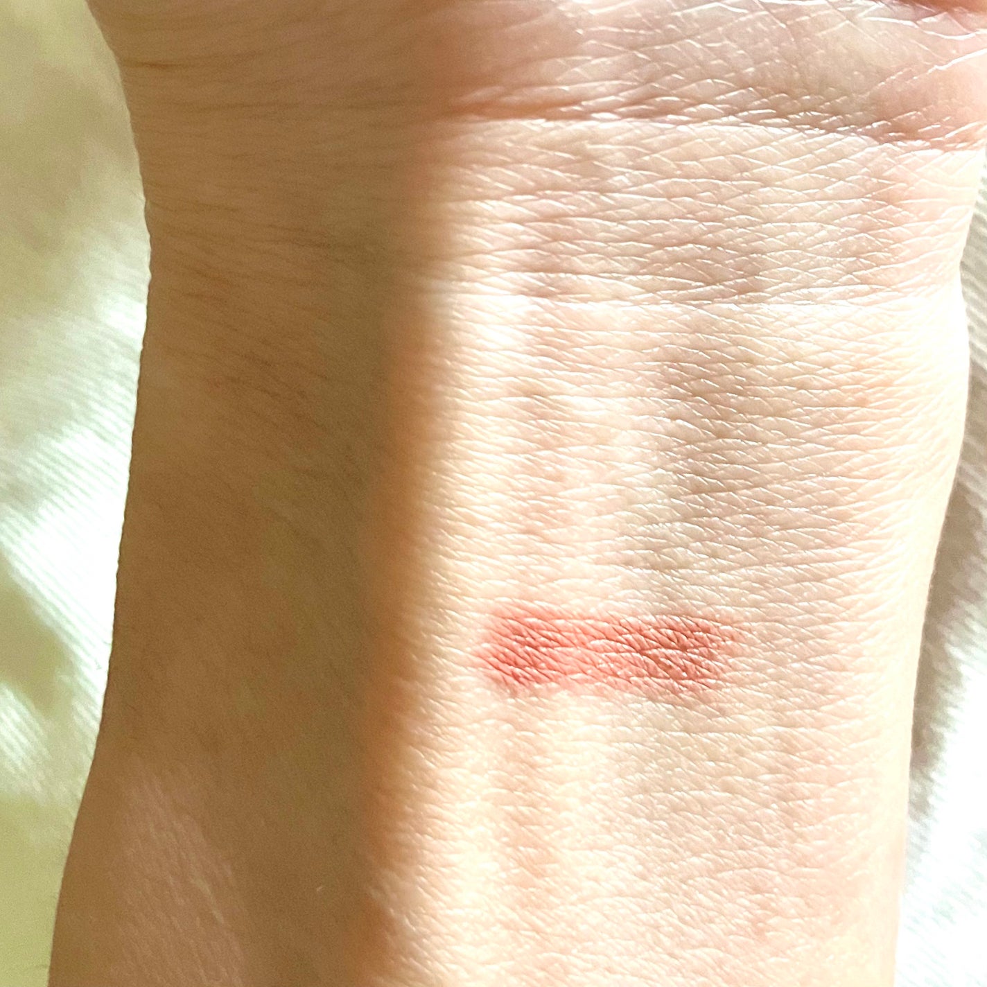 マットムースリップスティック/SISTER ANN/口紅を使ったクチコミ(3枚目)