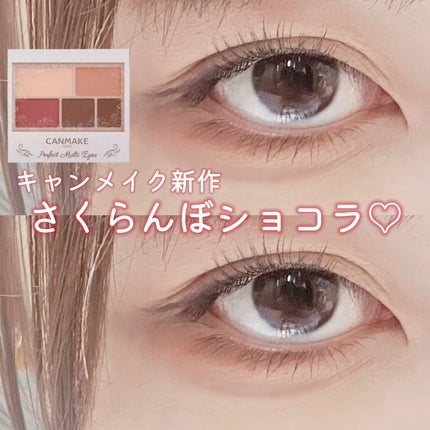 パーフェクトマルチアイズ/キャンメイク/アイシャドウパレットを使ったクチコミ(1枚目)