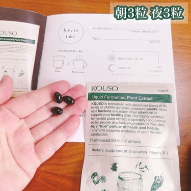 nagomi KOUSO 90粒/renaTerra/健康サプリメントを使ったクチコミ（2枚目）