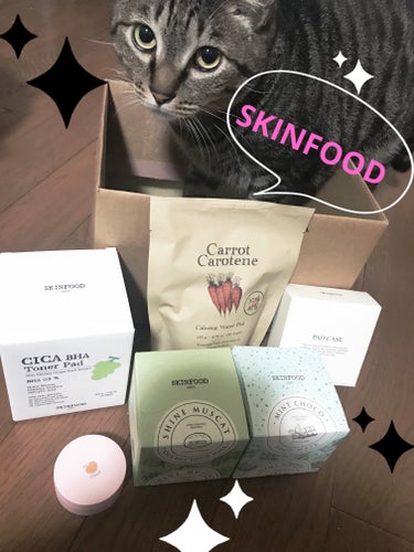 SKINFOOD ミントチョコ フードマスクのクチコミ「🎵Qoo10メガポの時の購入品🎵


SKINFOODで
ミントチョコ フードマスク

シャイ.....」（1枚目）