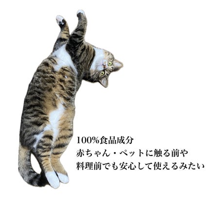 ハンドクリーム S/マミー/ハンドクリームを使ったクチコミ(2枚目)