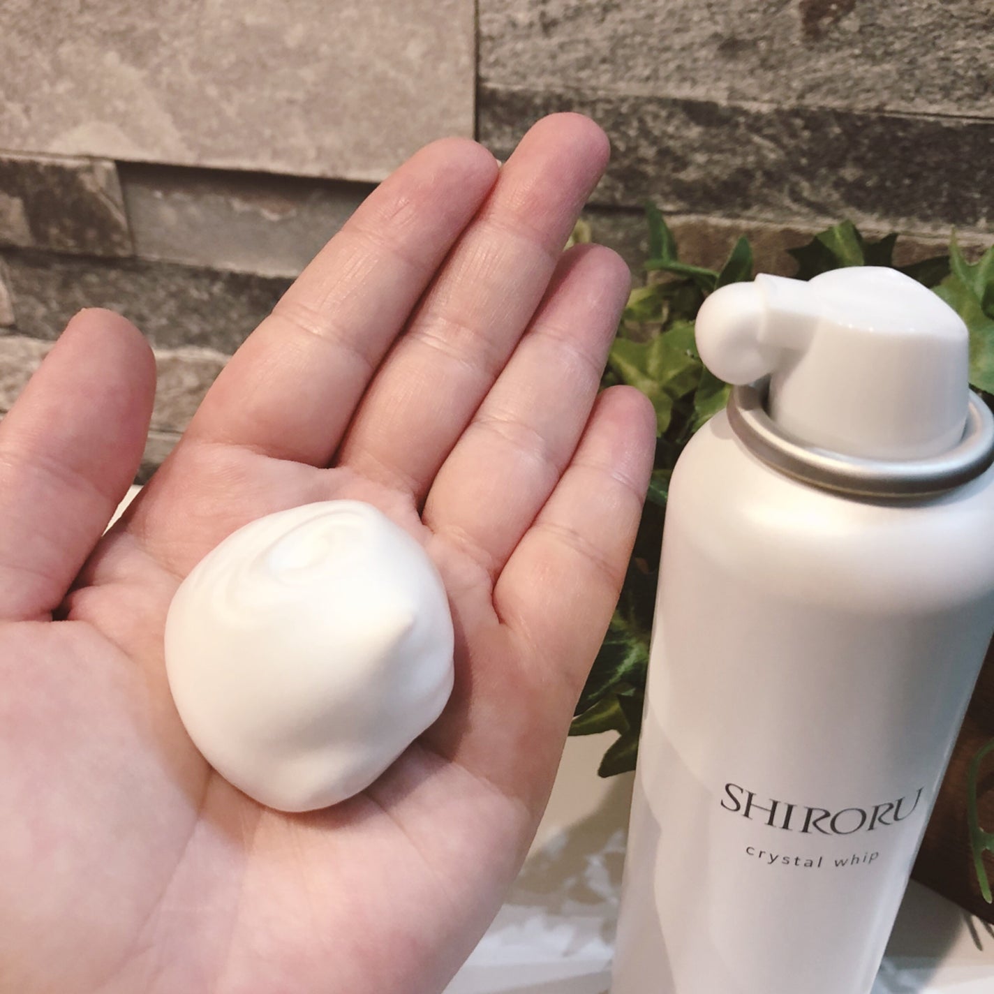 クリスタルホイップ/SHIRORU/泡洗顔を使ったクチコミ(2枚目)