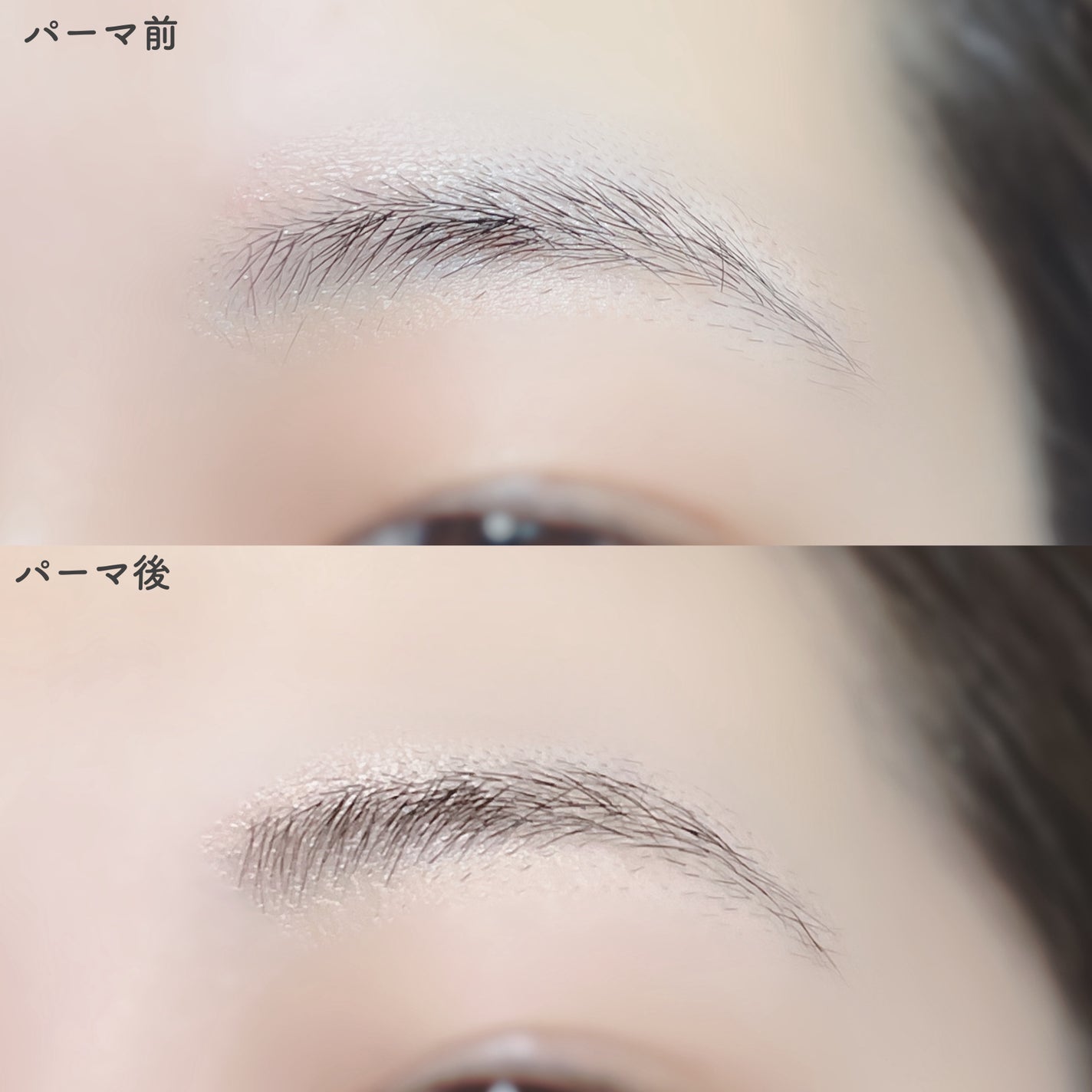 タフブローリフトキット/ENTROPY/その他キットセットを使ったクチコミ(7枚目)