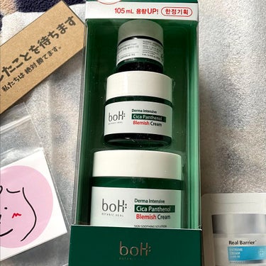 ダーマインテンシブシカパンテノールブラミッシュクリーム/BIOHEAL BOH/フェイスクリームを使ったクチコミ（1枚目）