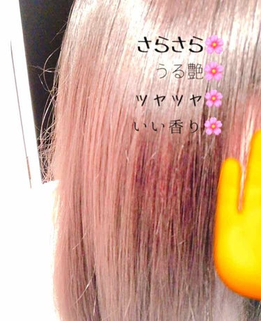 オイルトリートメント #EXヘアオイル/ルシードエル/ヘアオイルを使ったクチコミ（1枚目）