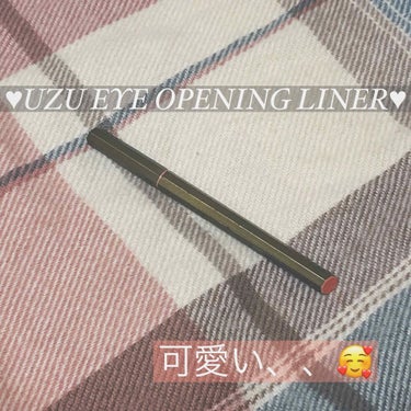 EYE OPENING LINER KHAKI/UZU BY FLOWFUSHI/リキッドアイライナーを使ったクチコミ（1枚目）