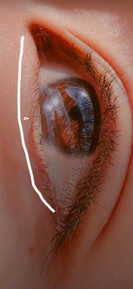 UR GLAM BLOOMING EYE COLOR PALETTE/U R GLAM/アイシャドウパレットを使ったクチコミ(4枚目)