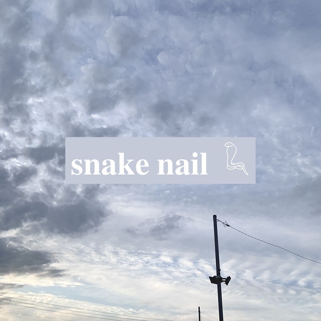 ネイルチップ用シール(20枚×5シート)/セリア/ネイルシールを使ったクチコミ（1枚目）