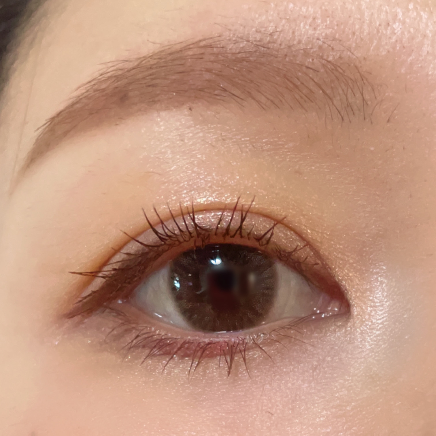 ジルスチュアート ニュアンスブロウパレット 06 red shade/JILL STUART/パウダーアイブロウを使ったクチコミ（3枚目）