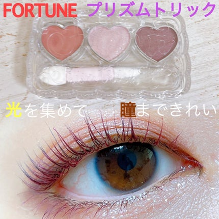 プリズムトリック/フォーチュン/アイシャドウパレットを使ったクチコミ(1枚目)