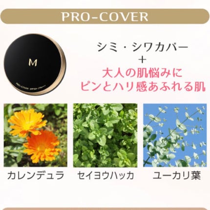 M クッション ファンデーション(プロカバー)/MISSHA/クッションファンデーションを使ったクチコミ(5枚目)