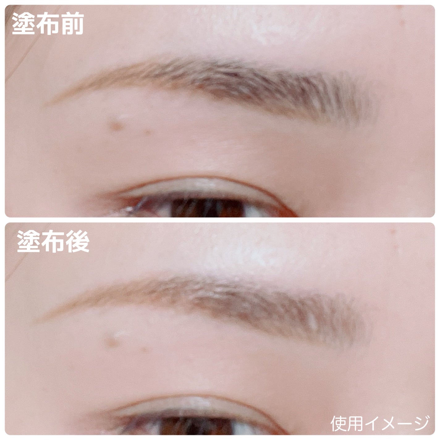 ヘビーローテーション カラーリングアイブロウEX/ヘビーローテーション/眉マスカラを使ったクチコミ(3枚目)