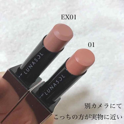 プランプメロウリップス EX01 Sophisticate/LUNASOL/口紅の画像